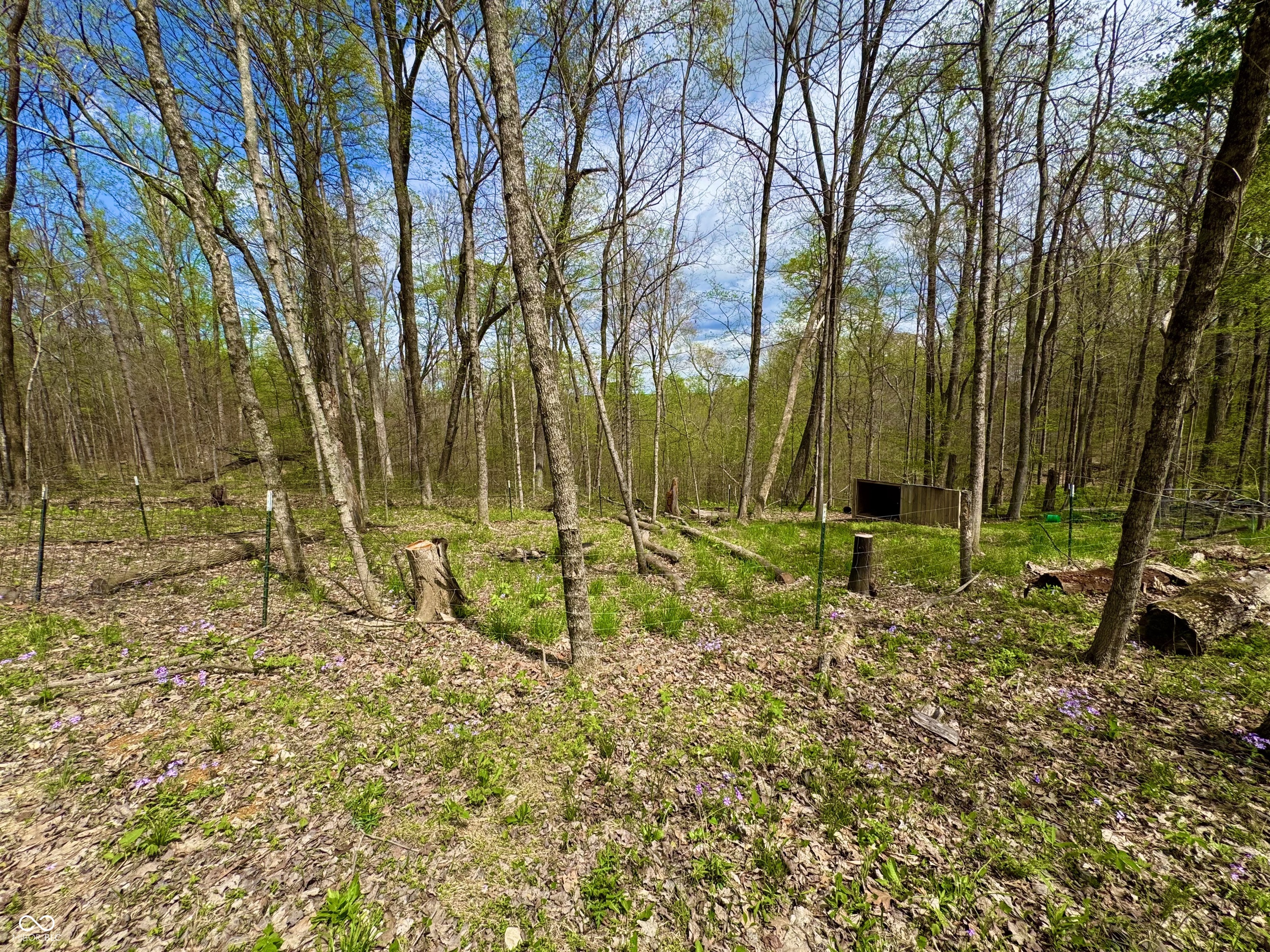 3300 Carmel Ridge Lane Morgantown, IN 46160 - Photo 123 of 131