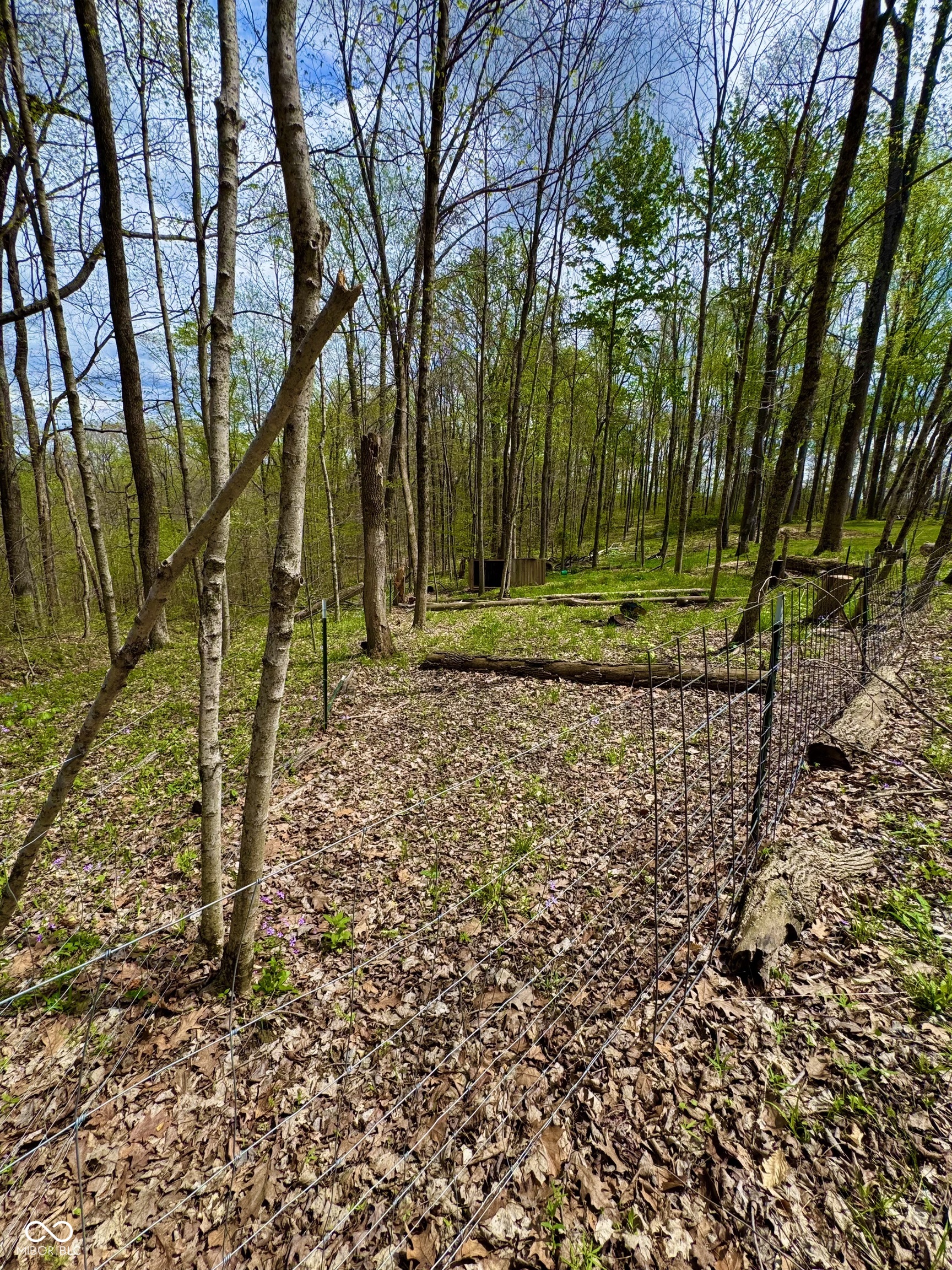 3300 Carmel Ridge Lane Morgantown, IN 46160 - Photo 20 of 136