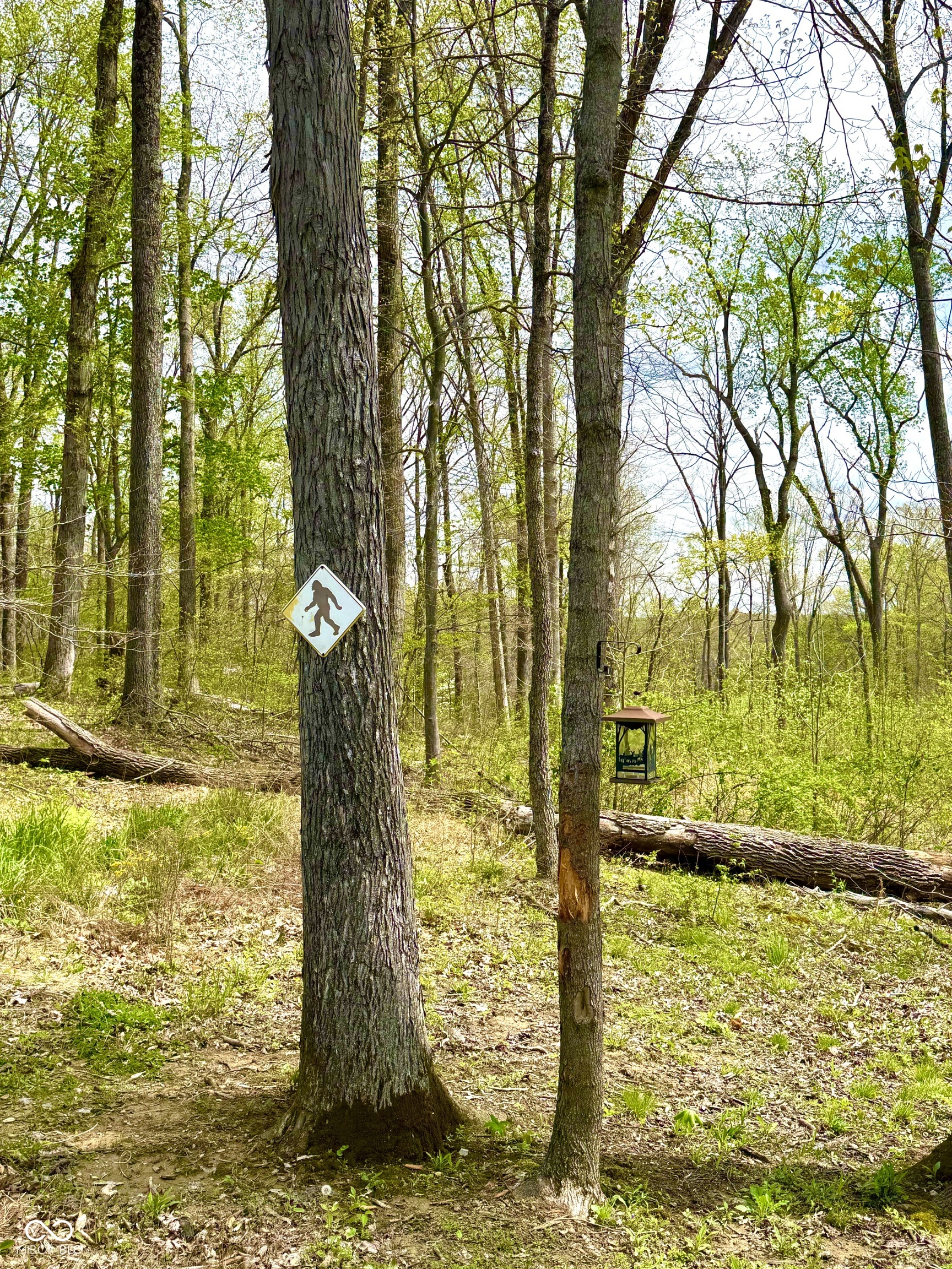3300 Carmel Ridge Lane Morgantown, IN 46160 - Photo 22 of 131