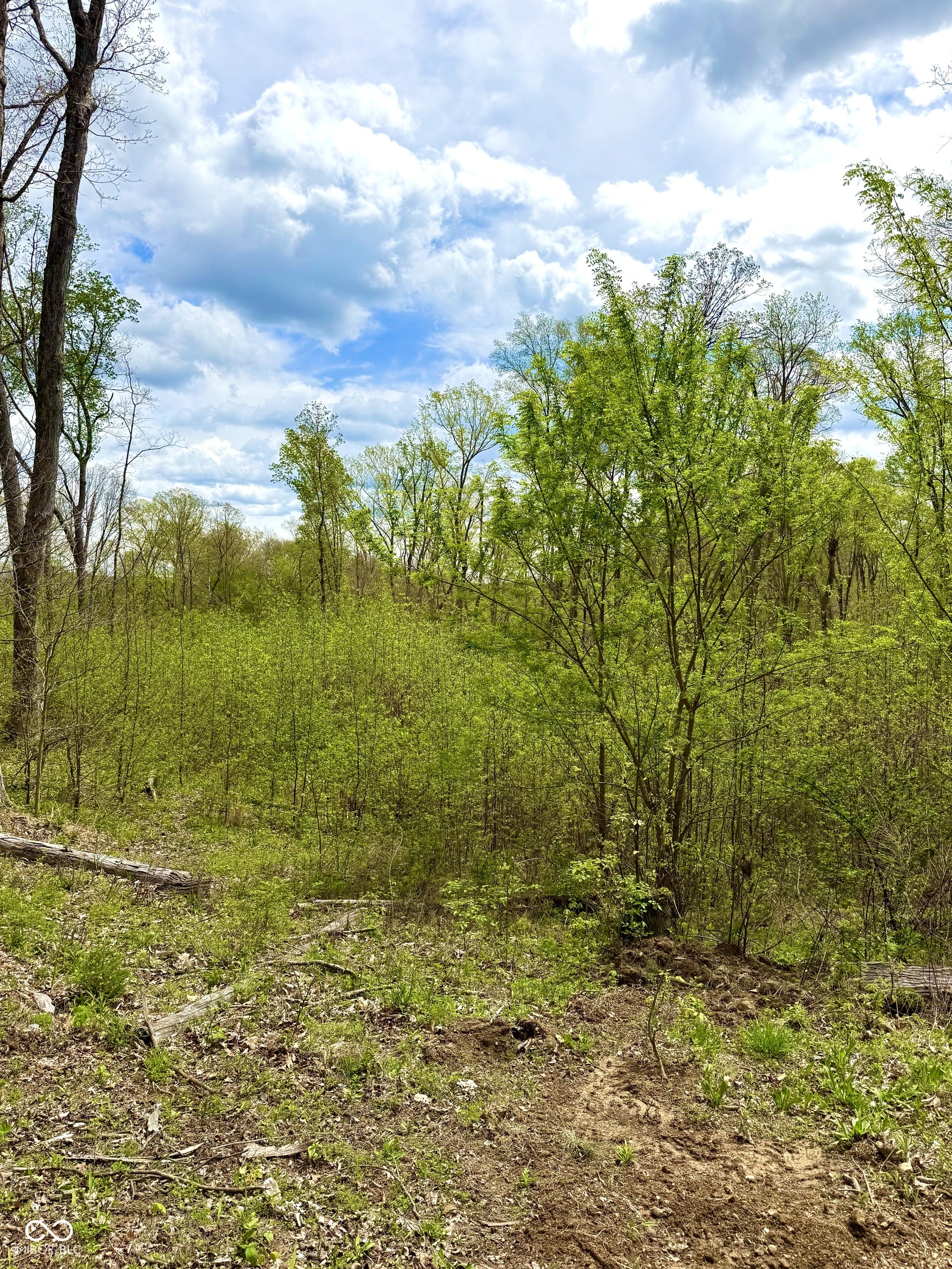 3300 Carmel Ridge Lane Morgantown, IN 46160 - Photo 24 of 131