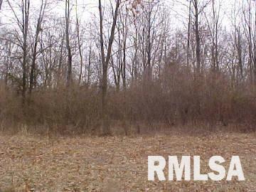 11372 Licata Road Benton, IL 62812 - Photo 4 of 4 Gallery Image 4