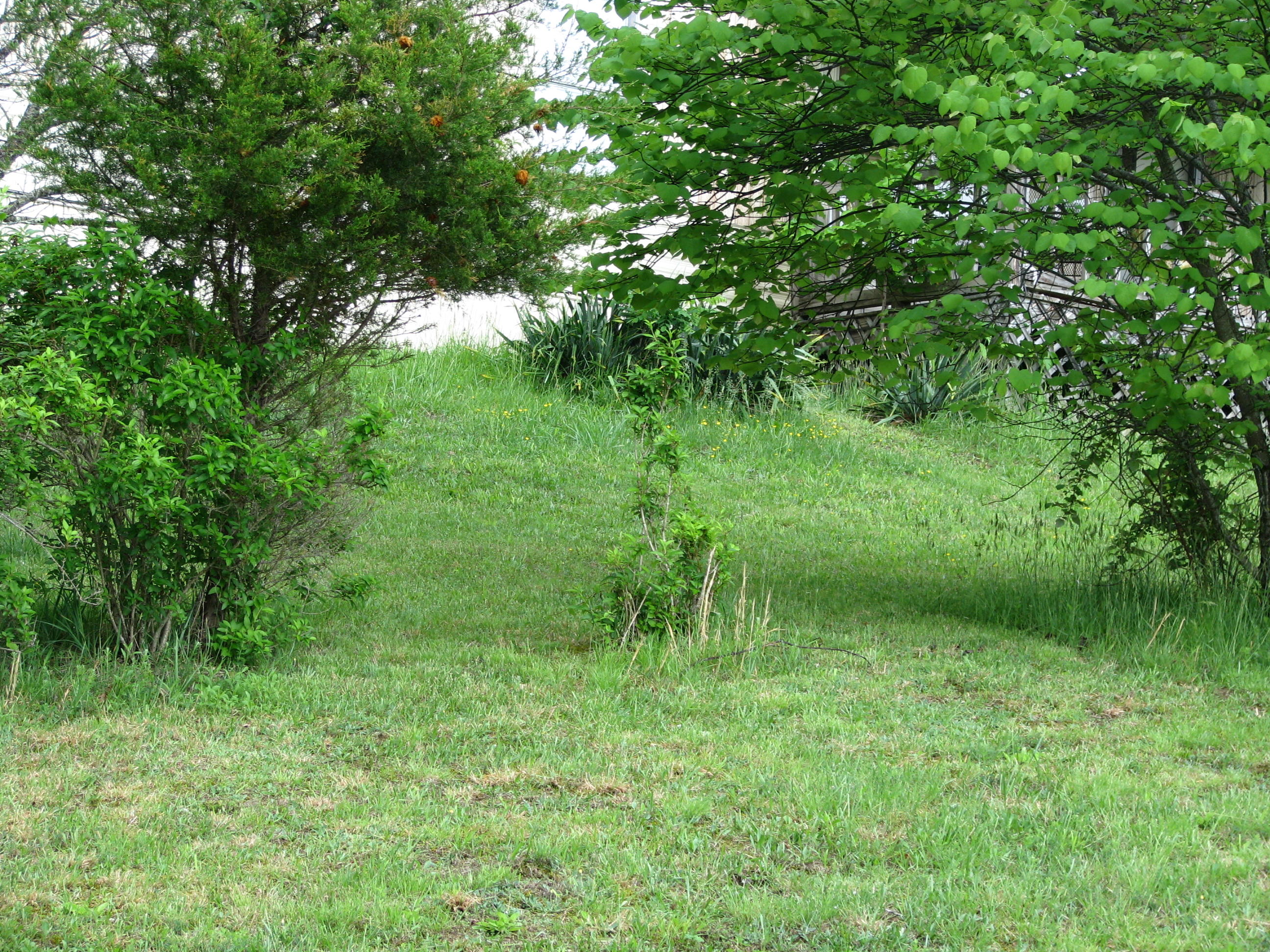 4958 Trade Winds Road Dublin, VA 24084 - Photo 2 of 14 Front