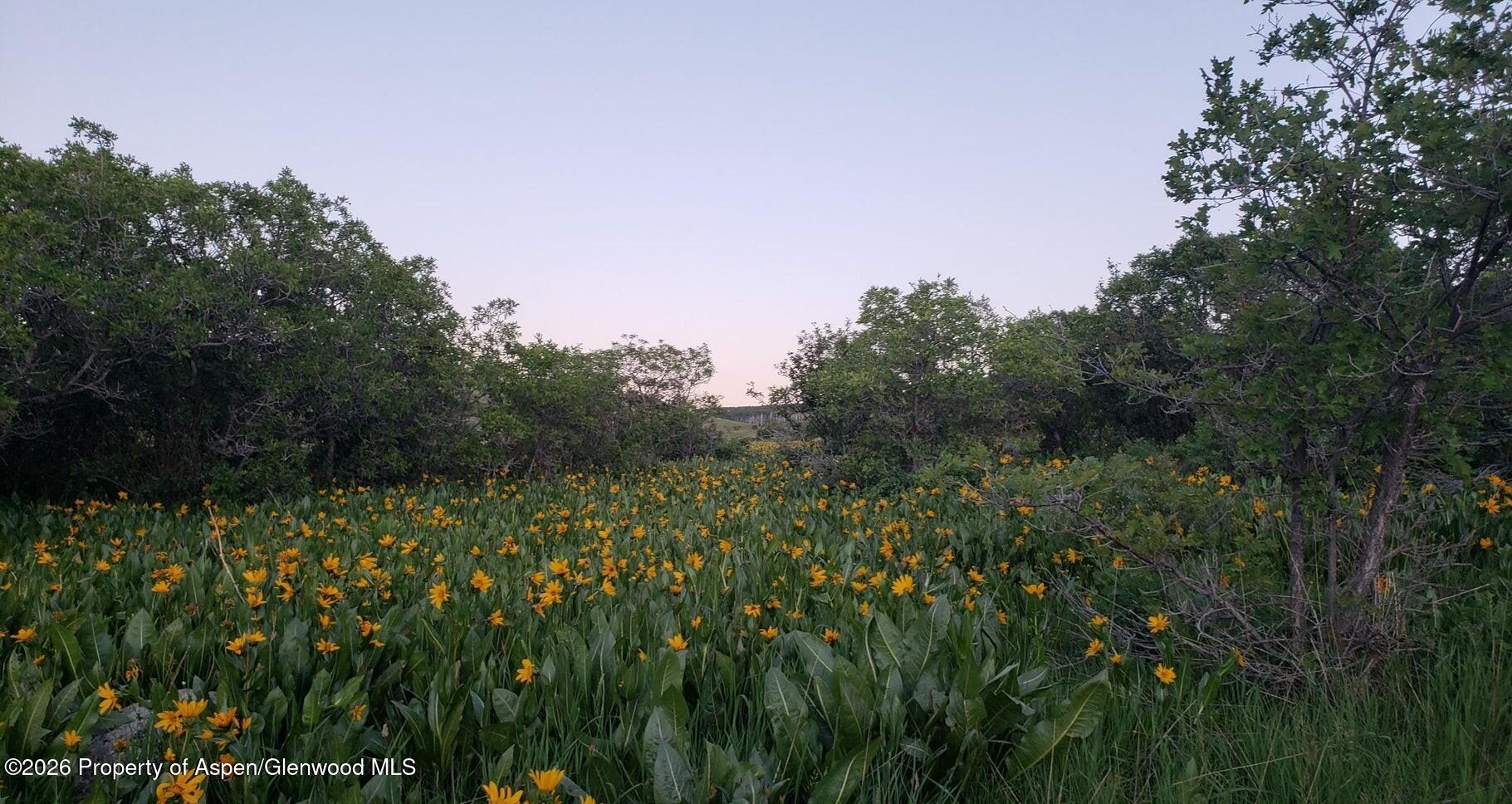 280 Eagle Loop, Unit LOT: 768 Craig, CO 81625 - Photo 5 of 13 280 Eagle