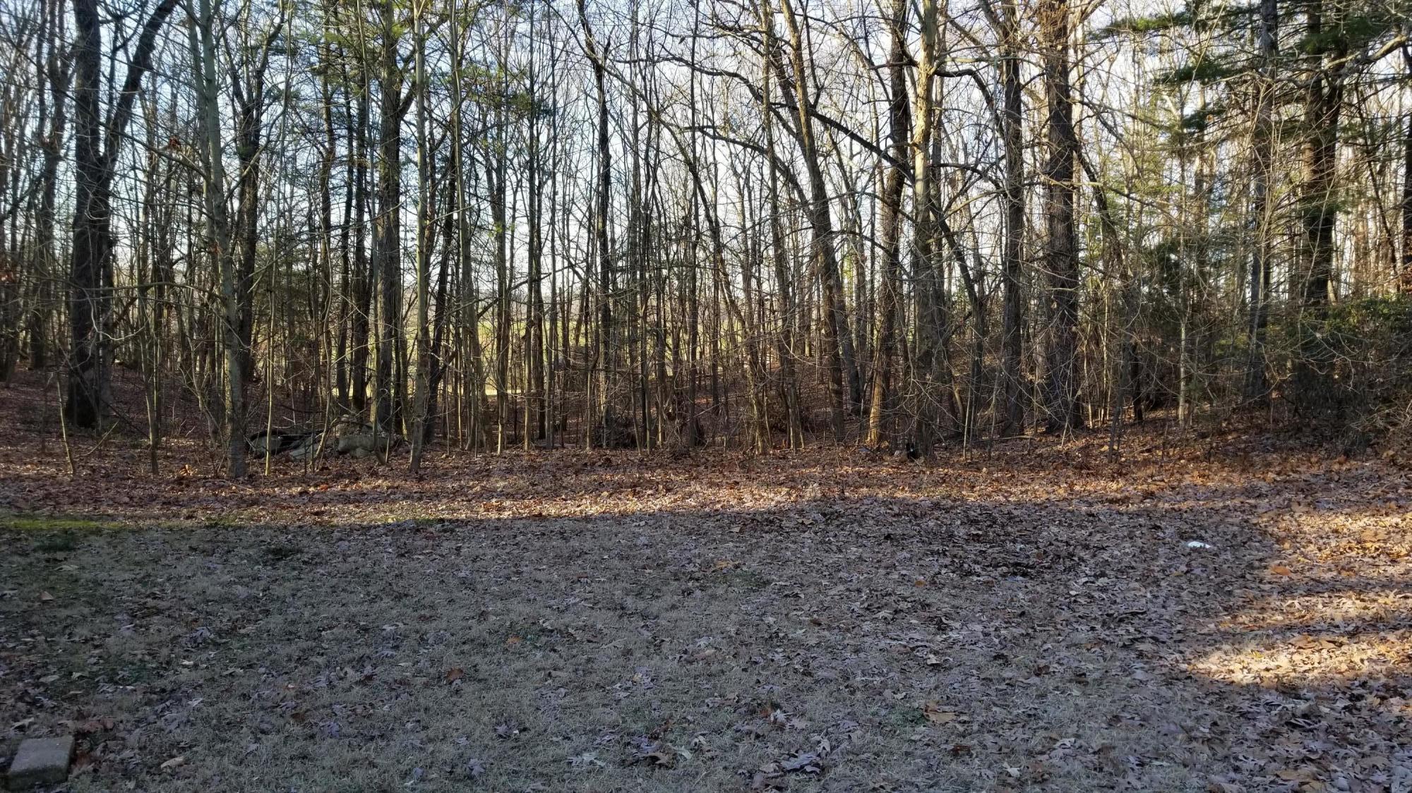 110 Foggy Ridge Road Rocky Mount, VA 24151 - Photo 32 of 35 a view of a yard with large trees