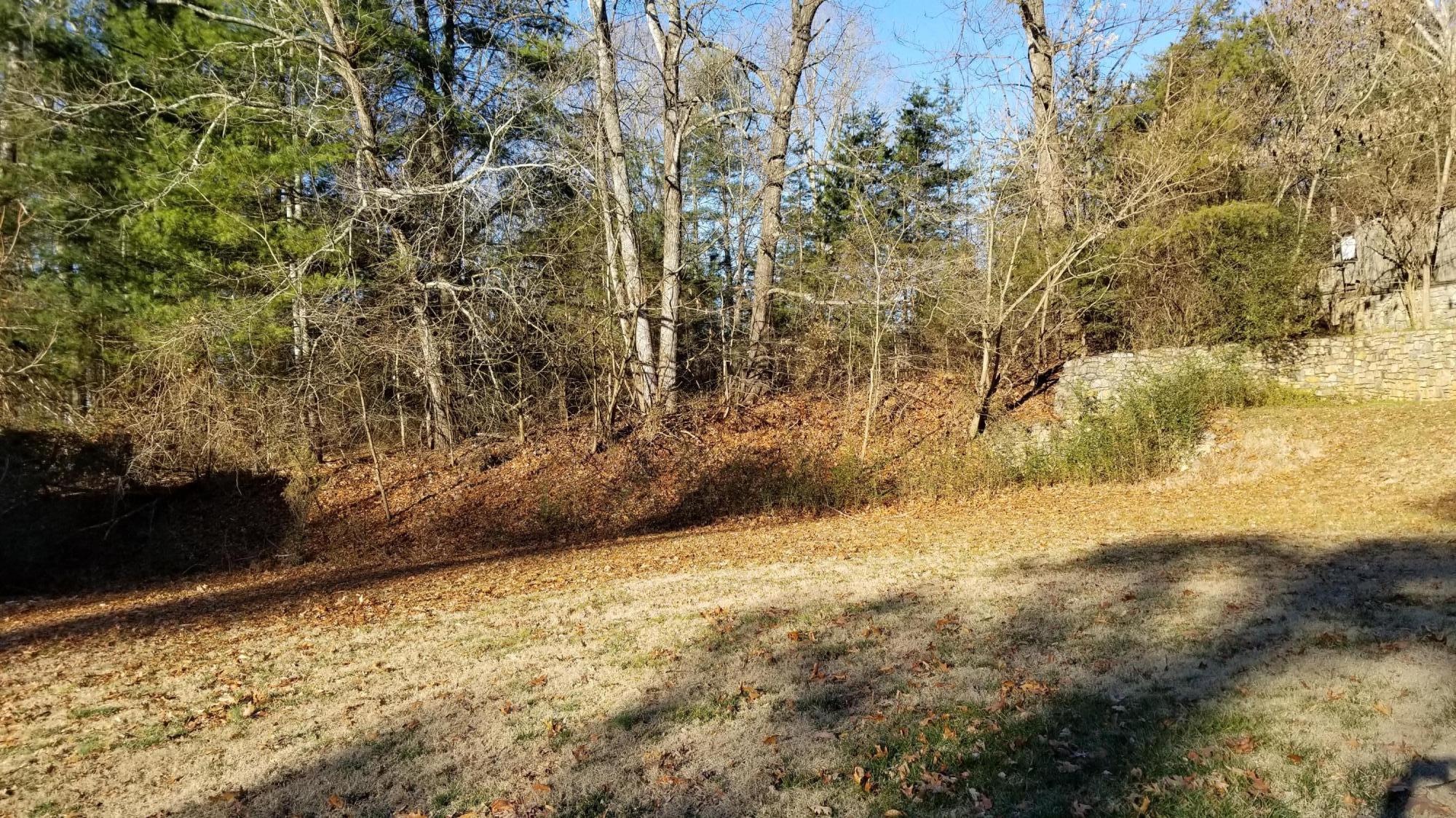 110 Foggy Ridge Road Rocky Mount, VA 24151 - Photo 33 of 35