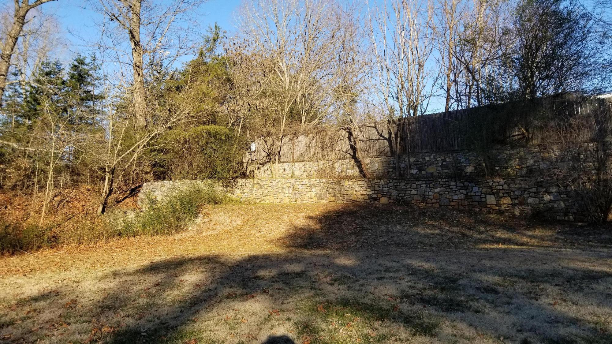 110 Foggy Ridge Road Rocky Mount, VA 24151 - Photo 34 of 35 a view of back yard of the house