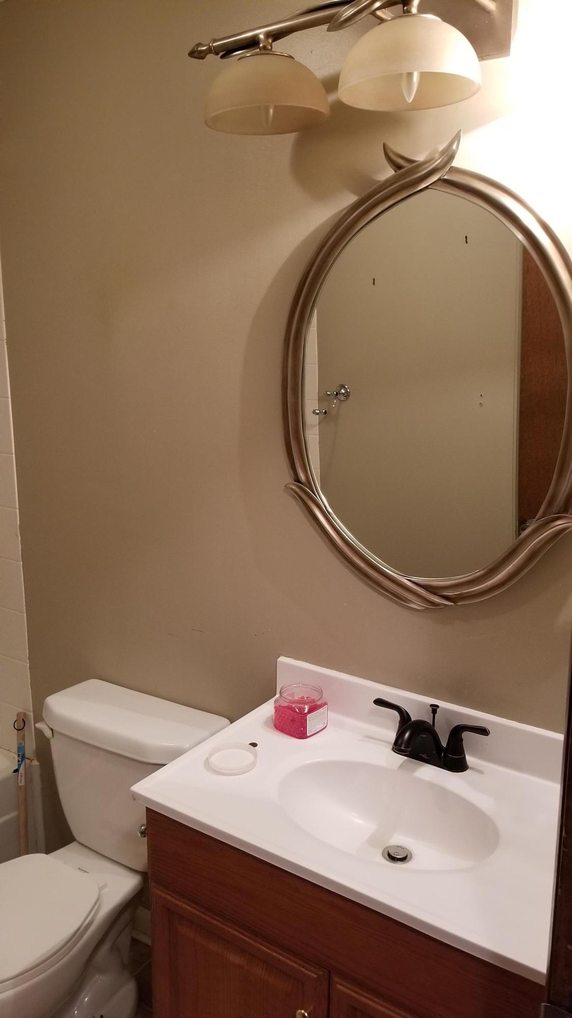 110 Foggy Ridge Road Rocky Mount, VA 24151 - Photo 9 of 35 a bathroom with a sink and a mirror