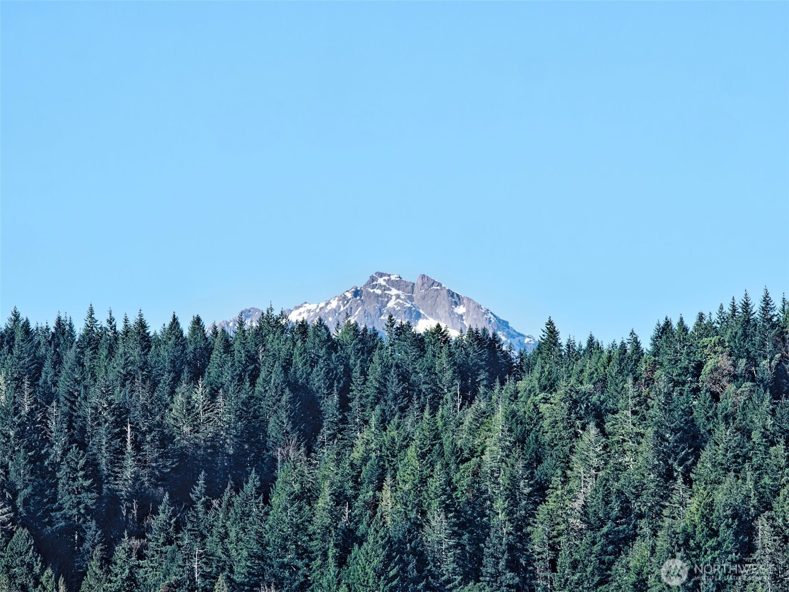 11181 Highway 106 Belfair, WA 98528 - Photo 39 of 39