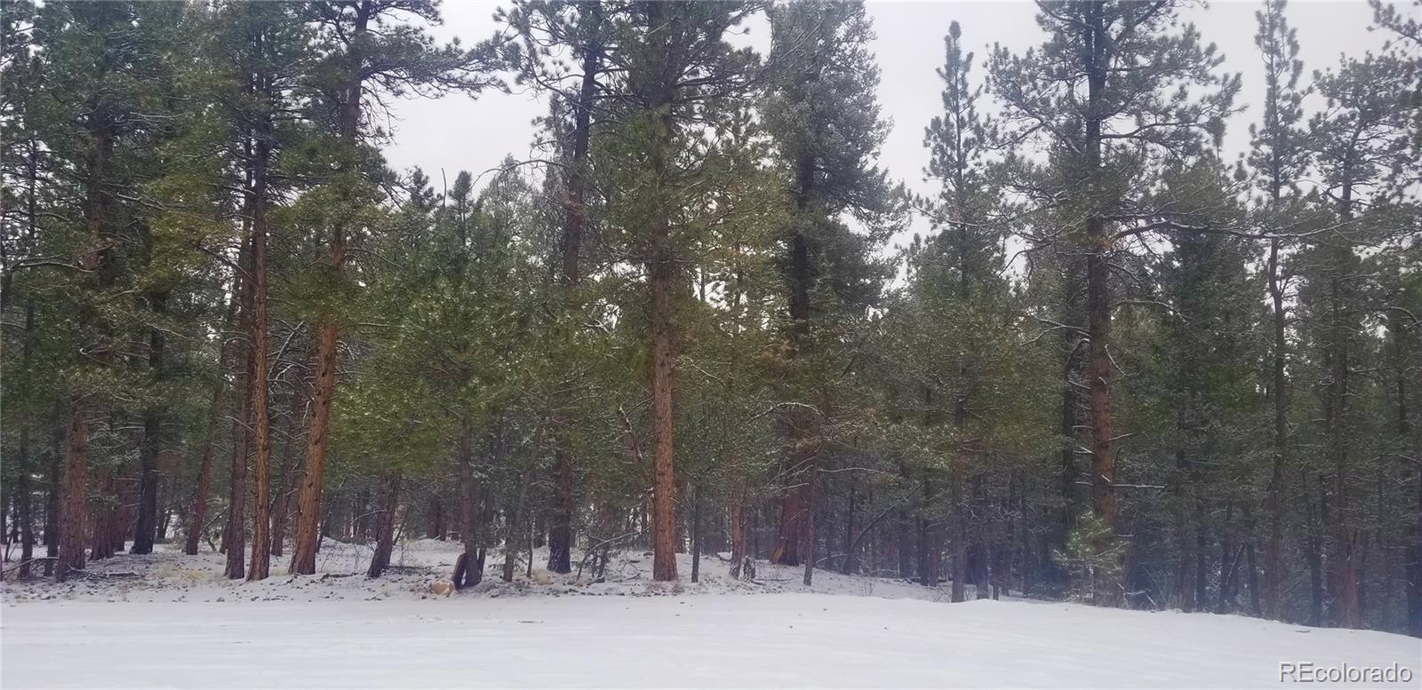 299 Pine Forest Road Lake George, CO 80827 - Photo 10 of 10 Gallery Image 10