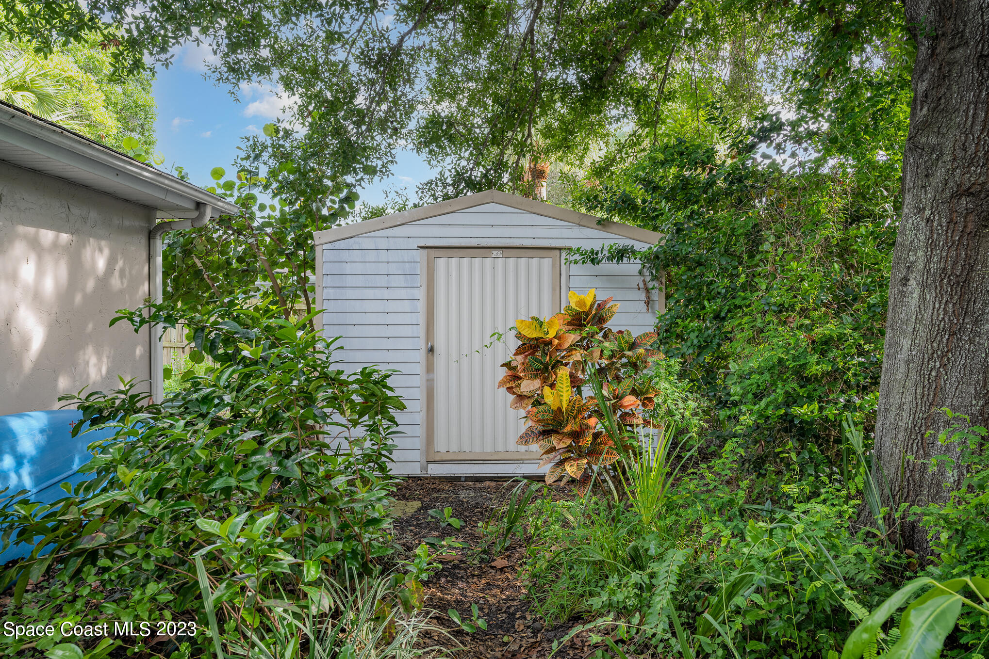 2842 Watkins Drive Melbourne, FL 32901 - Photo 28 of 39 a backyard of a house with lots of green space