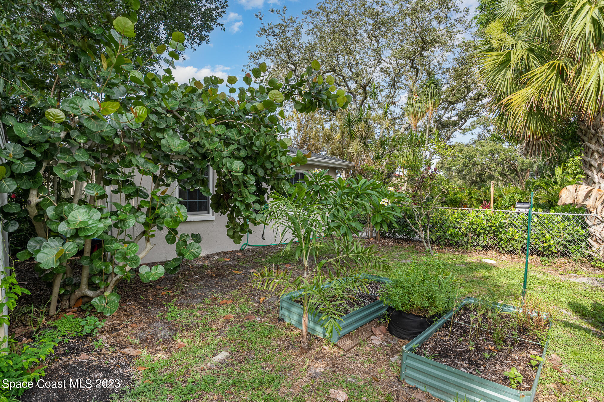 2842 Watkins Drive Melbourne, FL 32901 - Photo 29 of 39 a view of a garden with plants