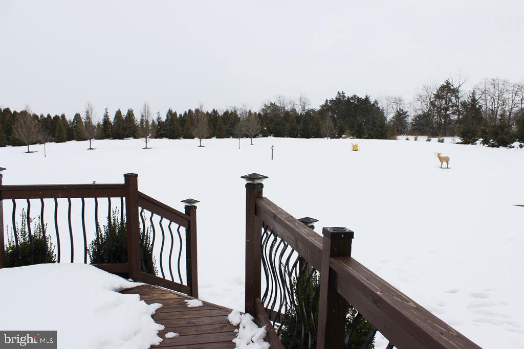 115 Pine Road Abbottstown, PA 17301 - Photo 42 of 47 Gallery Image 42