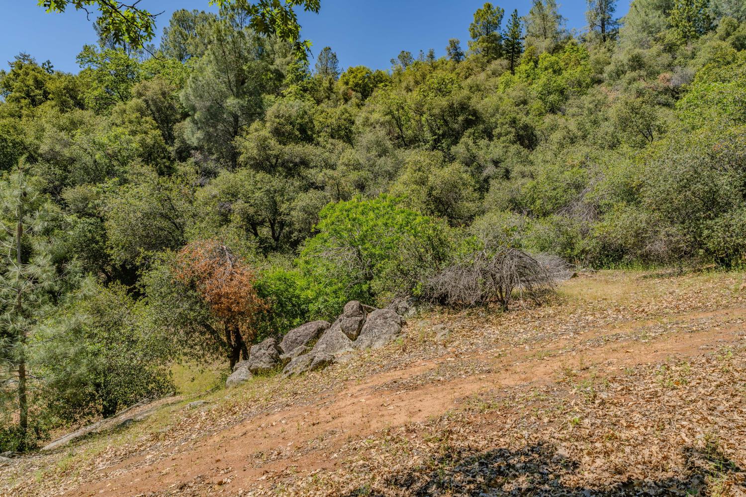 0 Defender Grade Road Pioneer, CA 95666 - Photo 28 of 60