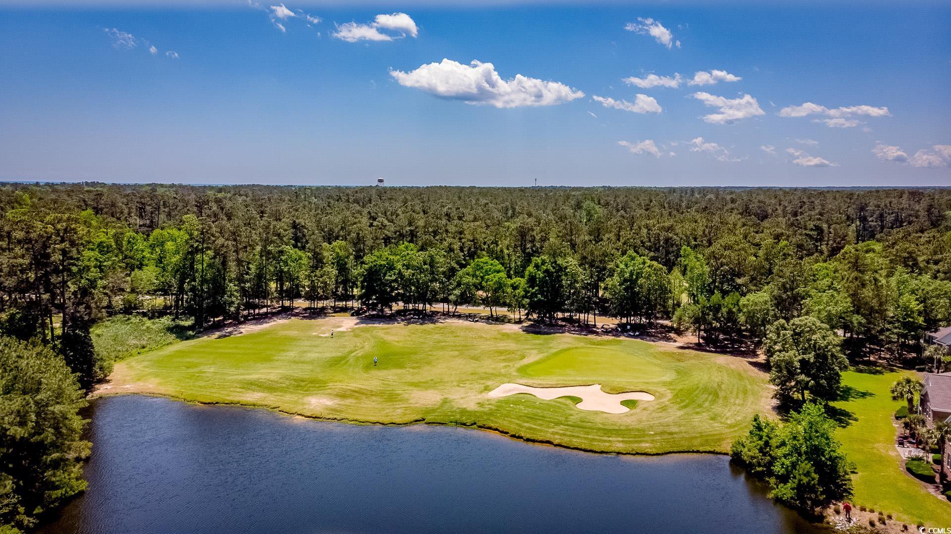 4460 Maypop Trail Murrells Inlet, SC 29576 - Photo 36 of 40 Drone / aerial view featuring a water view