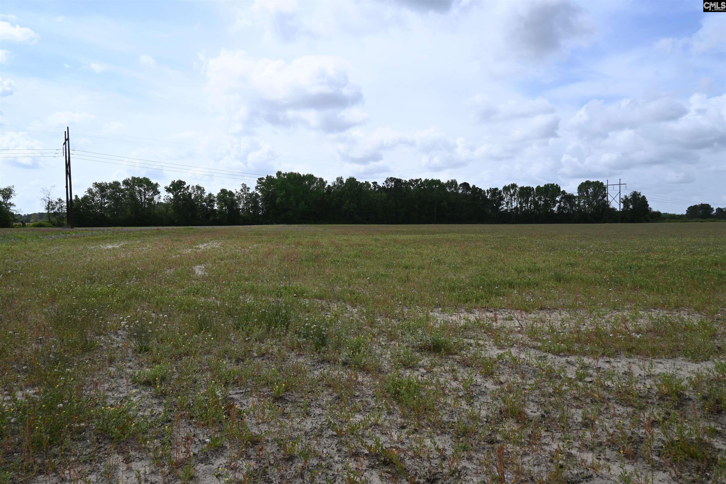 Tbd Gallowaytown Road Hartsville, SC 29550 - Photo 31 of 34