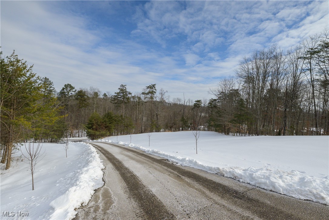 399 Wilder Road Vinton, OH 45686 - Photo 30 of 36 View of asphalt street