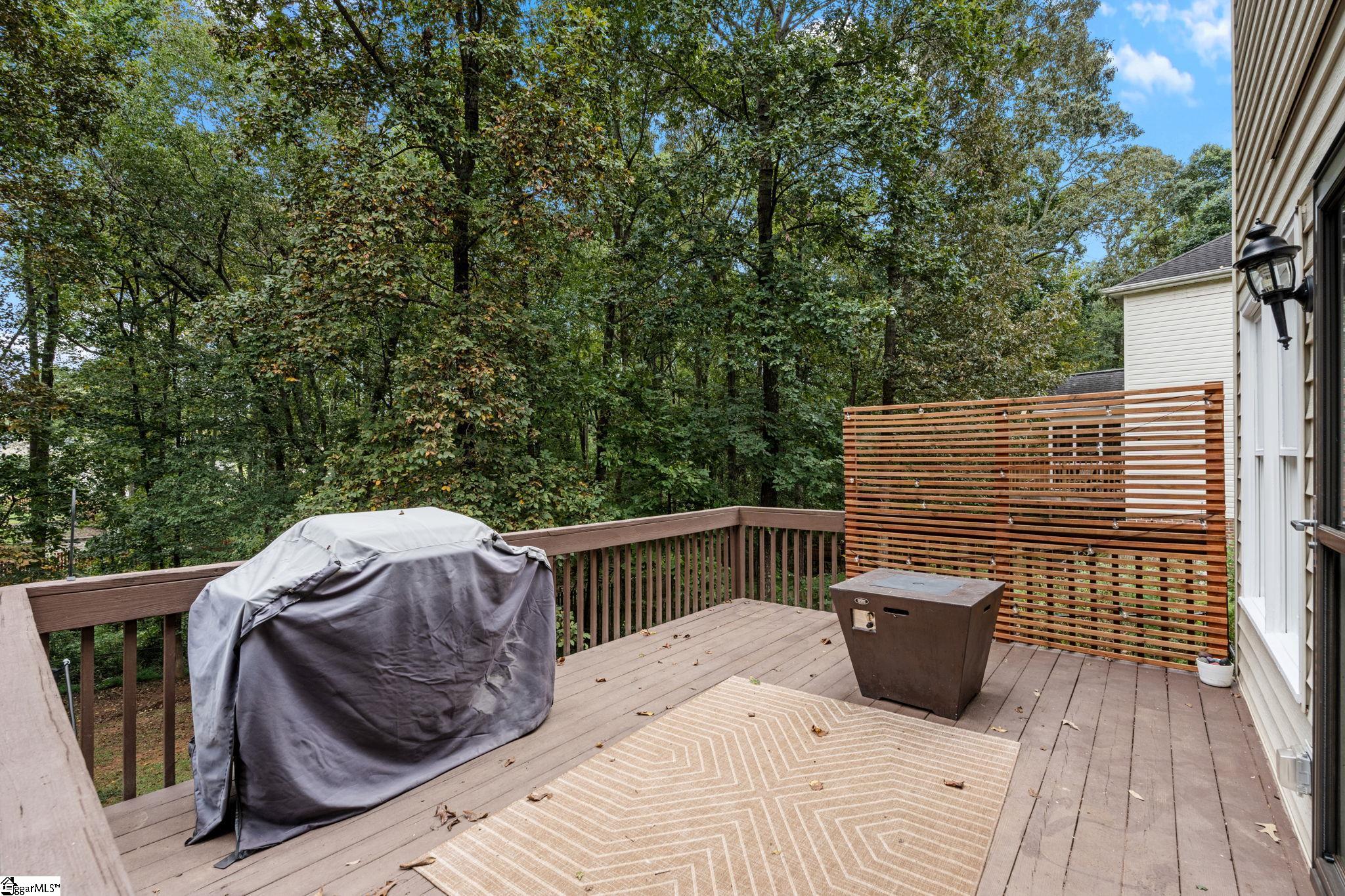 344 Camperdown Court Easley, SC 29642 - Photo 32 of 38