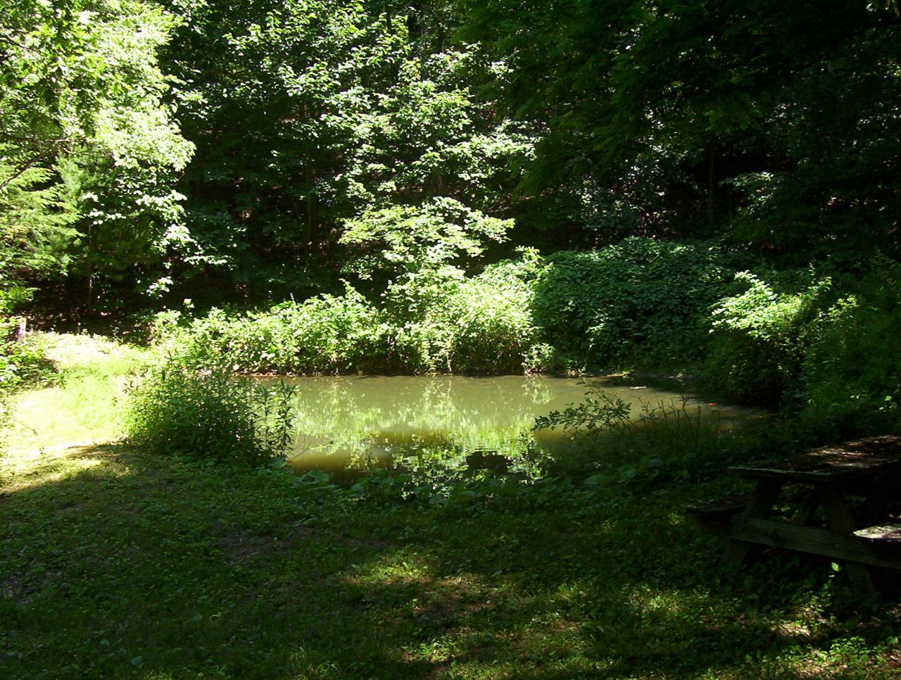 10584 Ivy Ridge Road Bent Mountain, VA 24059 - Photo 15 of 16 pond