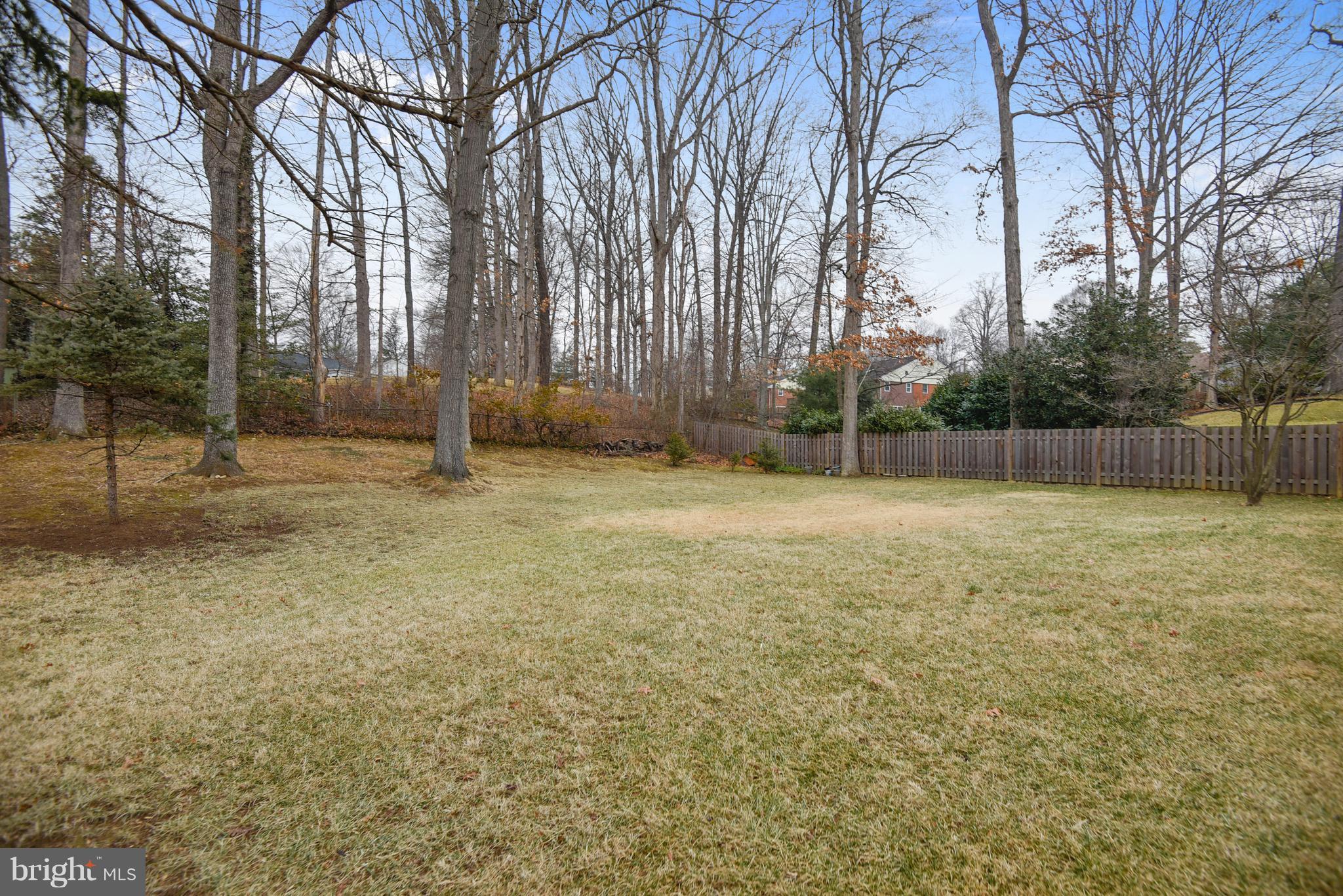 8108 Ellet Road Springfield, VA 22151 - Photo 19 of 21 a backyard of a house with lots of green space