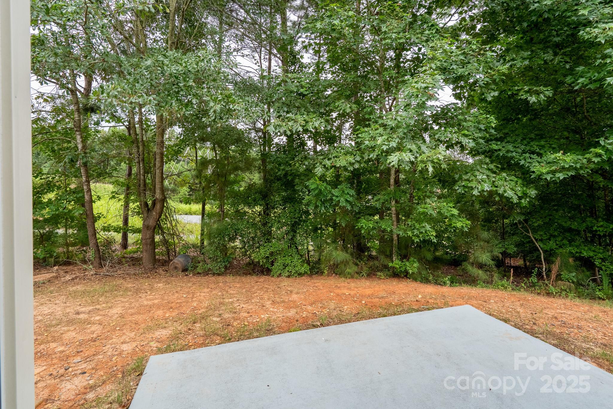2496 Bergamot Street, Unit 61 Tega Cay, SC 29708 - Photo 35 of 43 a view of a yard with plants and trees
