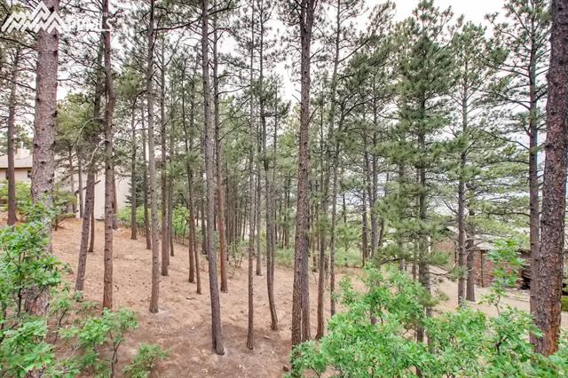 465 Jack Boot Road Monument, CO 80132 - Photo 11 of 36 Gallery Image 11