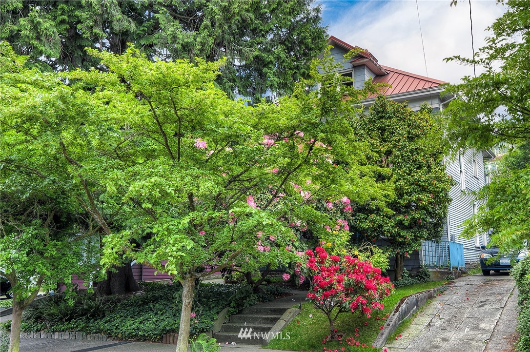 529 19th Avenue Seattle, WA 98122 - Photo 2 of 39 a picture of flowers
