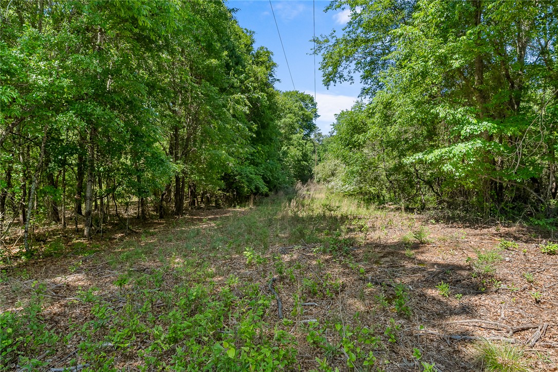 0 Boggs Road Belton, SC 29627 - Photo 2 of 12 Gallery Image 2