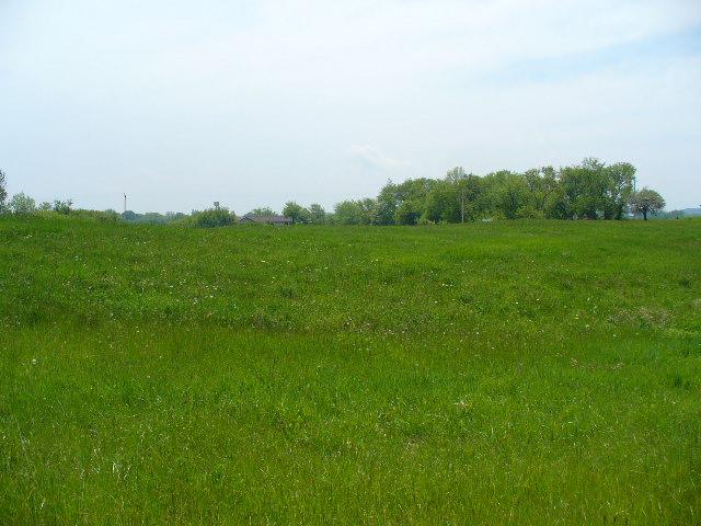 Lt3 Maplecrest Ridge Road Whitelaw, WI 54247 - Photo 1 of 1 View of lot