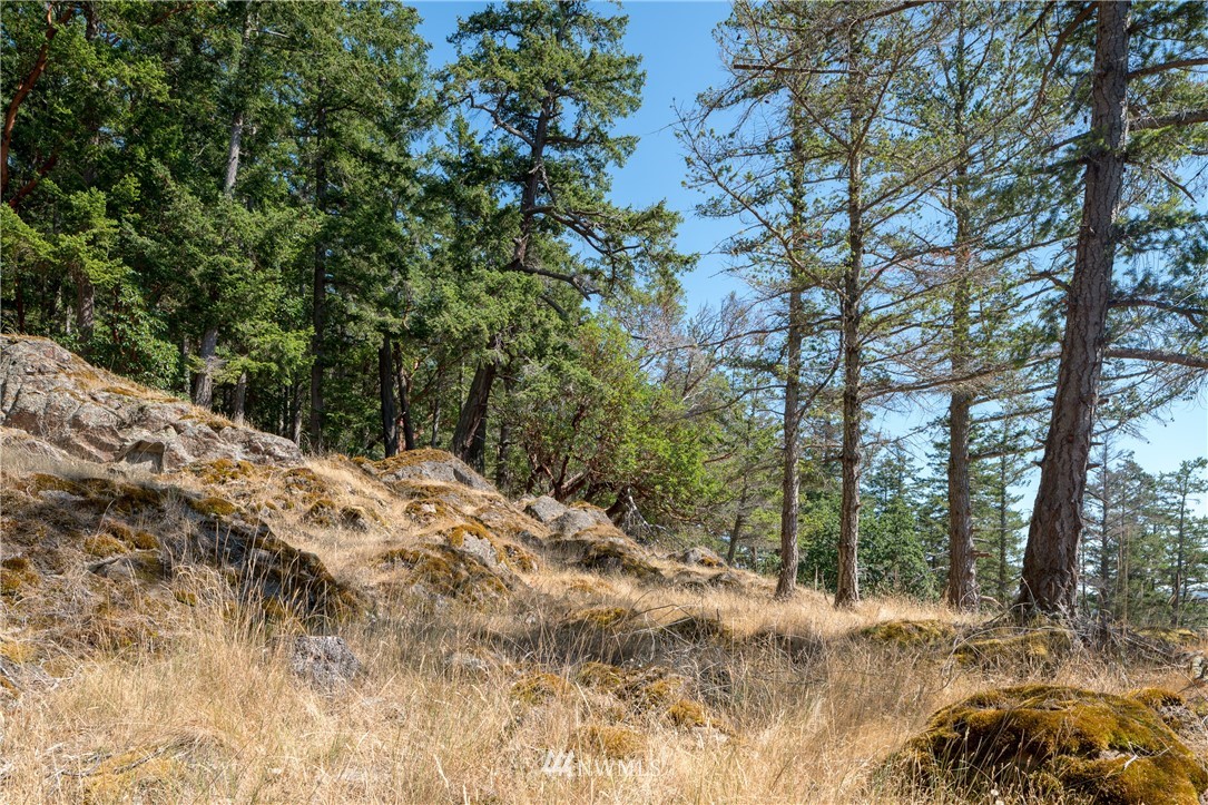 150 Red Cedar Road Lopez Island, WA 98261 - Photo 8 of 17 Gallery Image 8