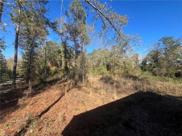 $40,000 | 0 Rock Hill Road, Bentley, LA 71407