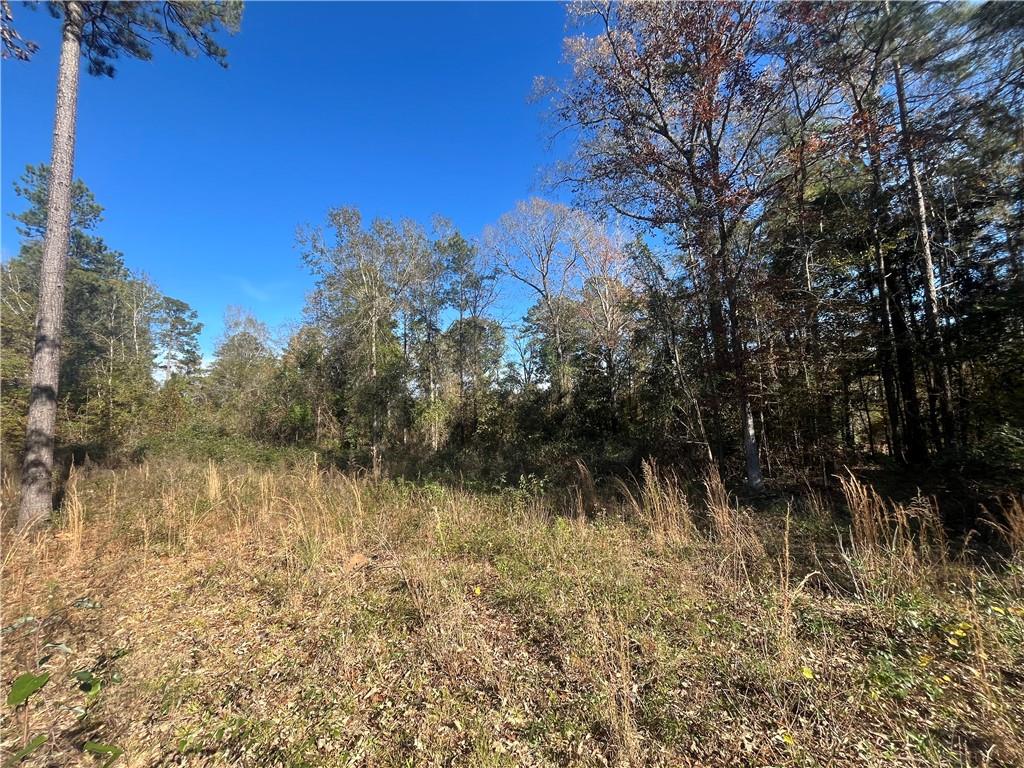 0 Rock Hill Road Bentley, LA 71407 - Photo 6 of 7