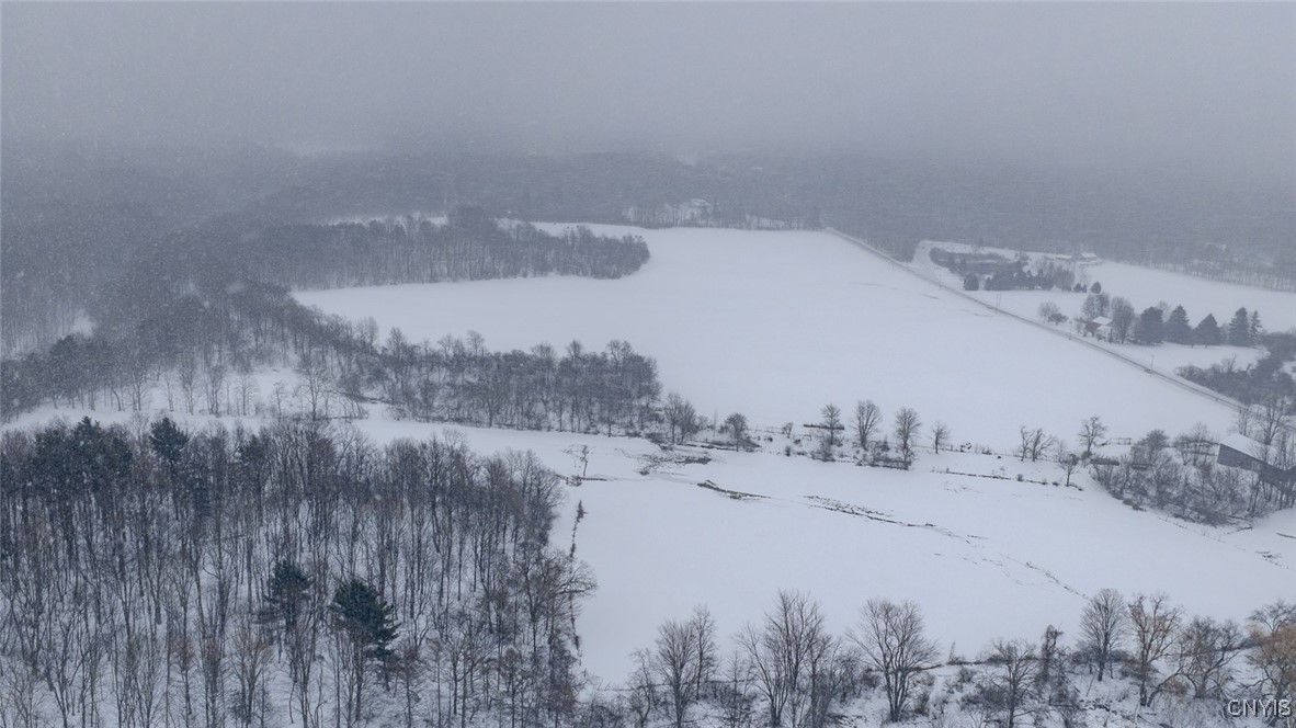 1726 County Rte 15 Sandy Creek, NY 13083 - Photo 37 of 49