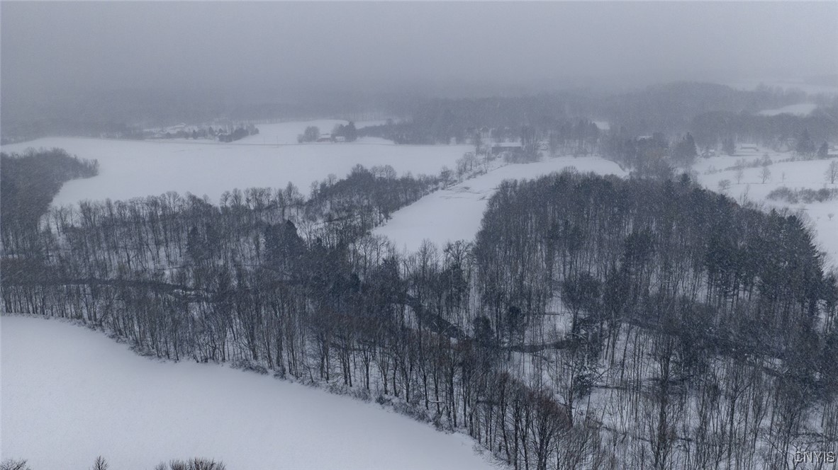 1726 County Rte 15 Sandy Creek, NY 13083 - Photo 38 of 49