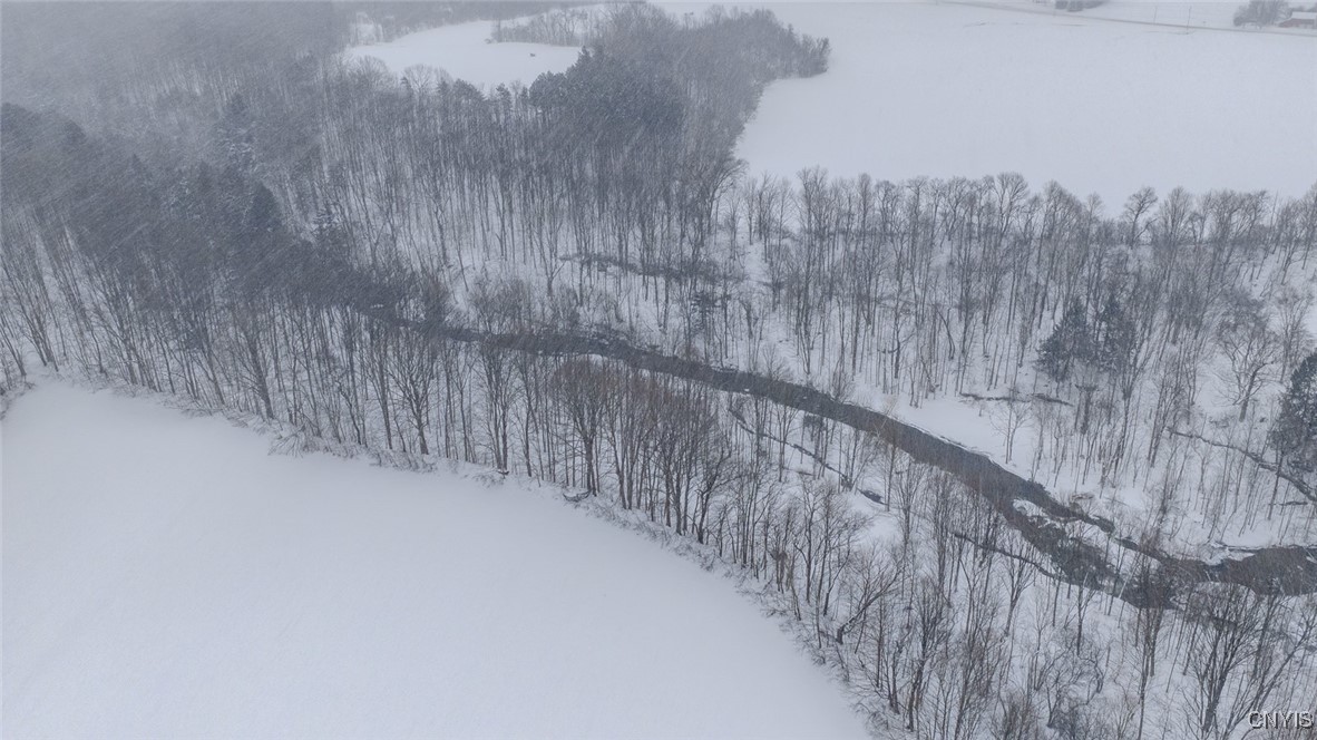 1726 County Rte 15 Sandy Creek, NY 13083 - Photo 39 of 49