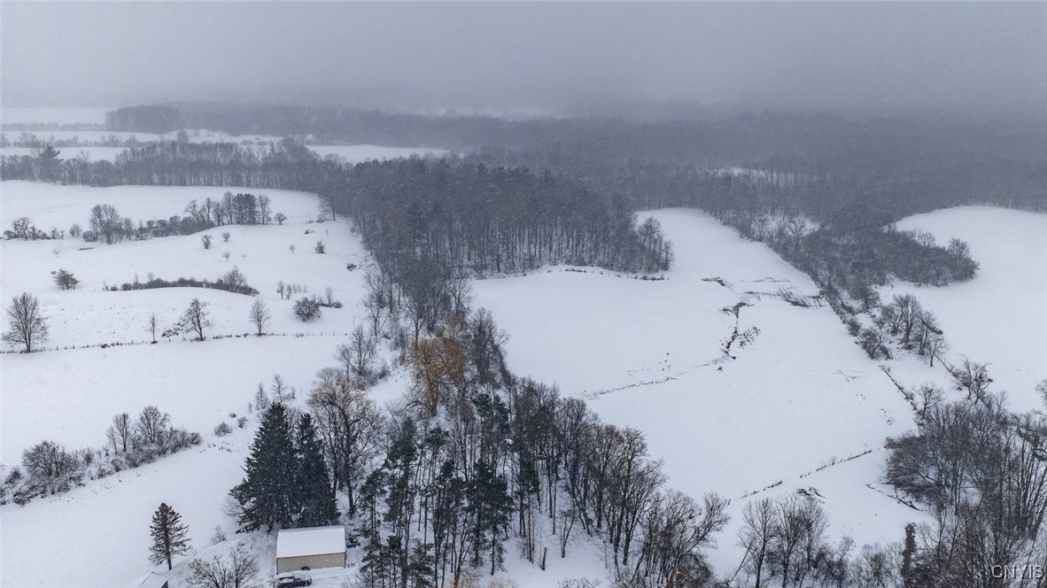 1726 County Rte 15 Sandy Creek, NY 13083 - Photo 46 of 49