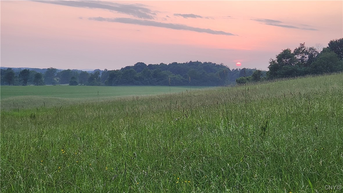 1726 County Rte 15 Sandy Creek, NY 13083 - Photo 49 of 49