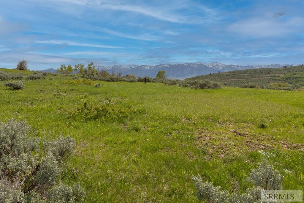 0 Grouse Creek Loop Wayan, ID 83285 - Photo 14 of 22