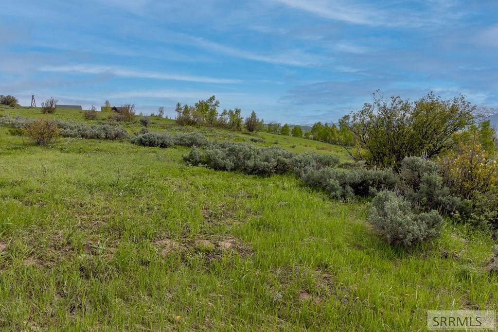 0 Grouse Creek Loop Wayan, ID 83285 - Photo 16 of 22