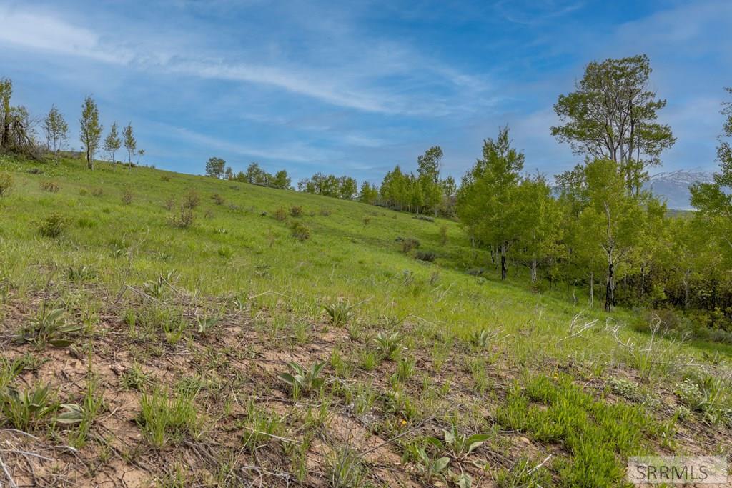 0 Grouse Creek Loop Wayan, ID 83285 - Photo 17 of 22