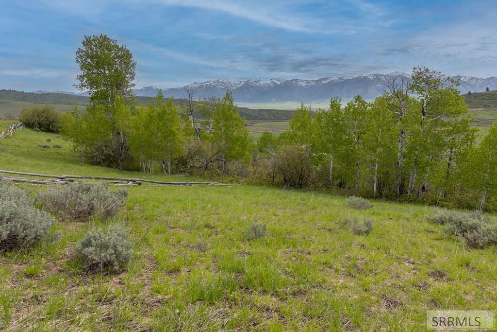 0 Grouse Creek Loop Wayan, ID 83285 - Photo 2 of 22