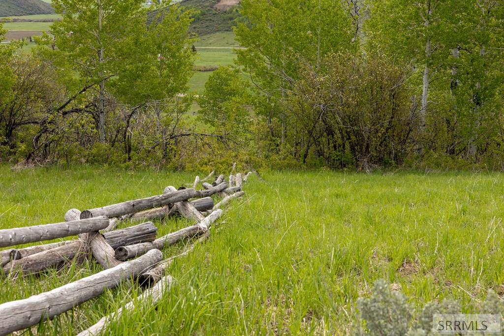 0 Grouse Creek Loop Wayan, ID 83285 - Photo 3 of 22
