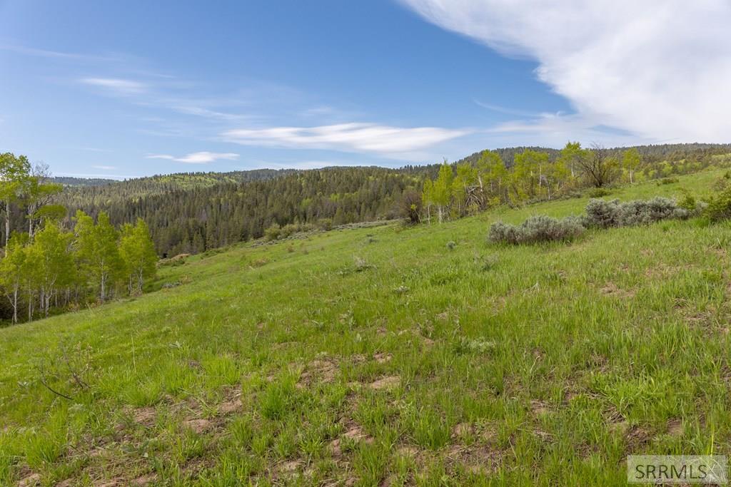 0 Grouse Creek Loop Wayan, ID 83285 - Photo 4 of 22