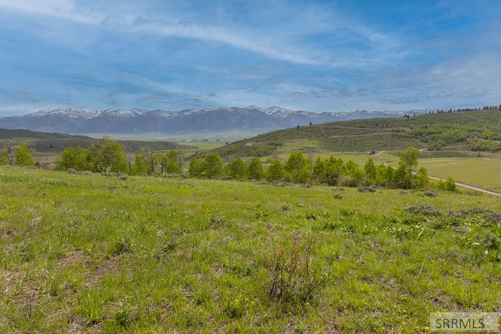 0 Grouse Creek Loop Wayan, ID 83285 - Photo 6 of 22
