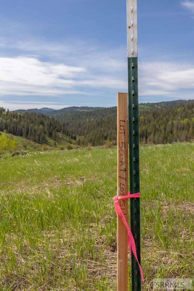 0 Grouse Creek Loop Wayan, ID 83285 - Photo 8 of 22