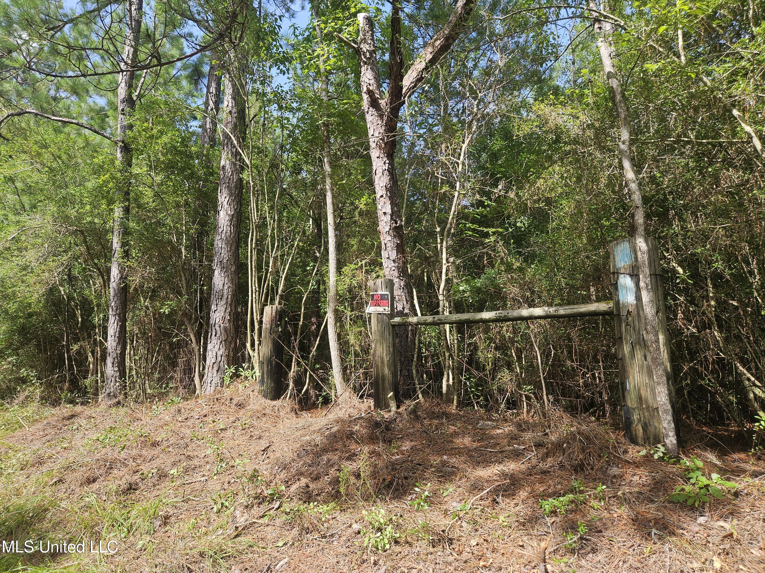 23150 Tally Shaw Road Perkinston, MS 39573 - Photo 1 of 8 South West Corner