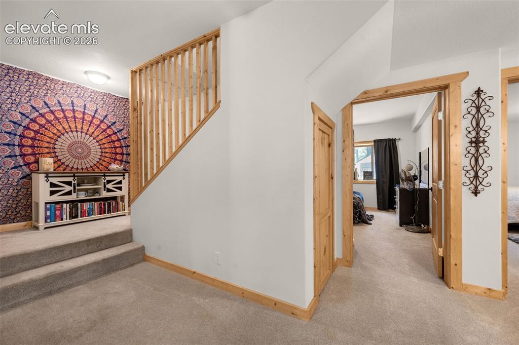 897 Fossil Creek Road Florissant, CO 80816 - Photo 19 of 41