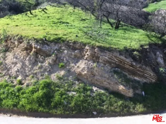 a view of a garden with a bench