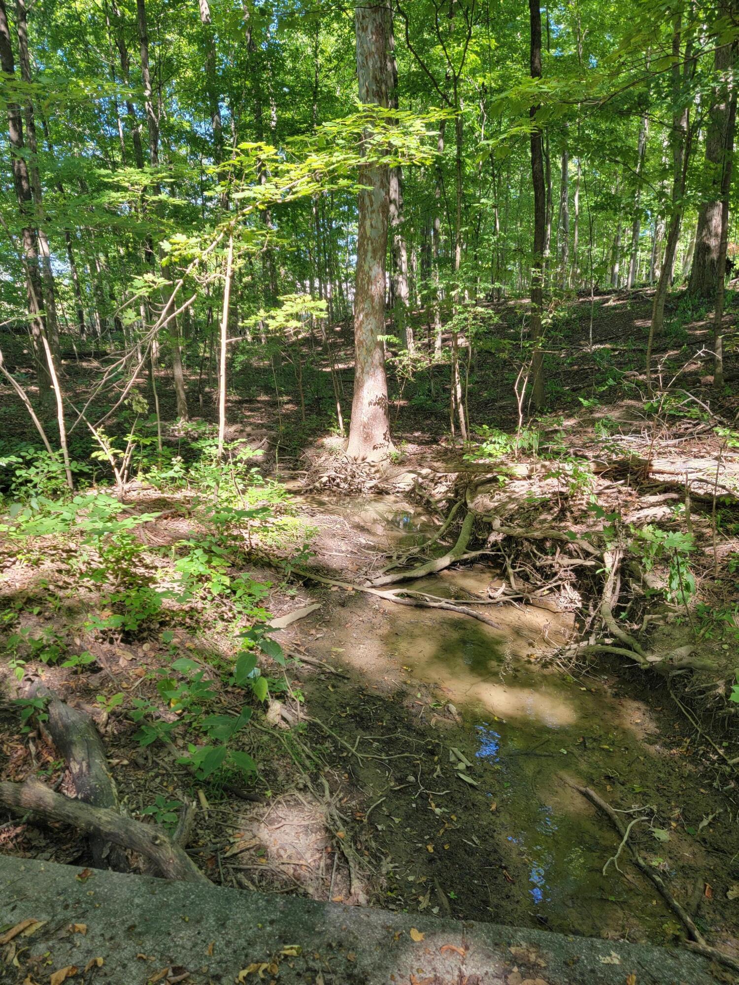 6152 Jaycox Road Galena, OH 43021 - Photo 4 of 5 Jaycox 5