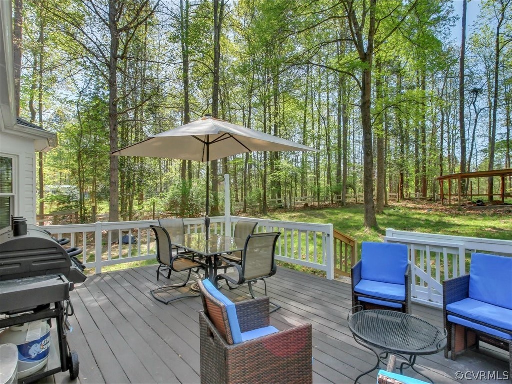 12113 Bundle Road Chesterfield, VA 23838 - Photo 21 of 25 Great back yard!