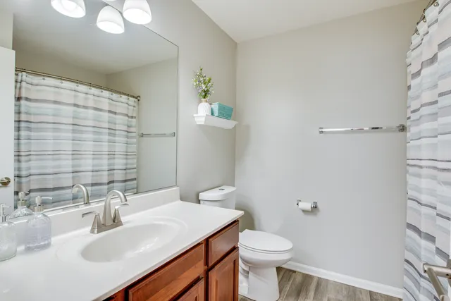 a bathroom with a sink a toilet and shower curtain
